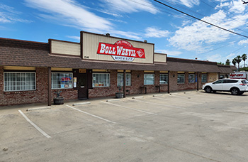 Click this link to view Boll Weevil