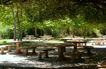 Click this link to view Dos Picos Park