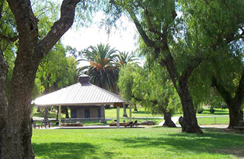 Click this link to view Collier Park